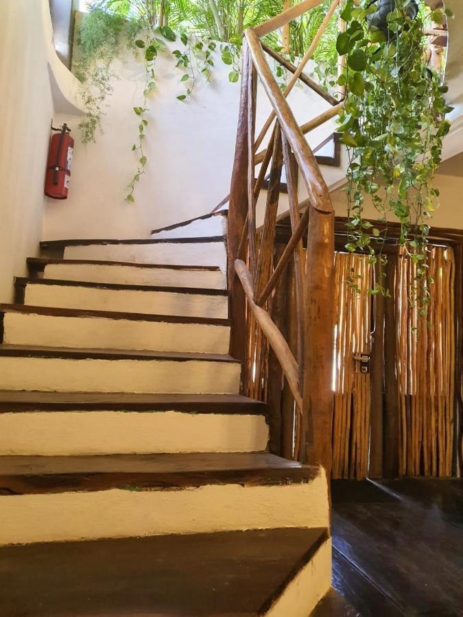 Elixir Homes Tulum Bagian luar foto